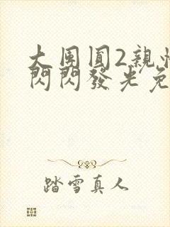 大团圆2亲情会闪闪发光免费