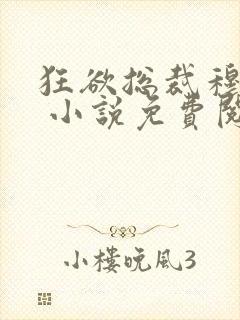 狂欲总裁穆非雪 小说免费阅读