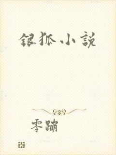 银狐小说
