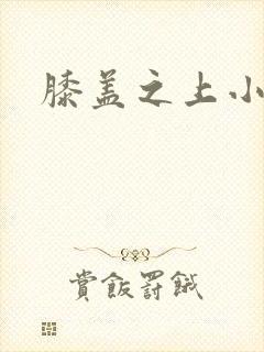 膝盖之上小说封面