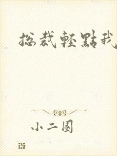 总裁轻点我怕疼