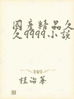 国产精品久久久久9999小说