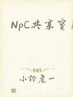 NpC共享宝贝