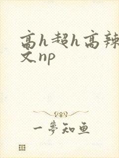 高h超h高辣h文np