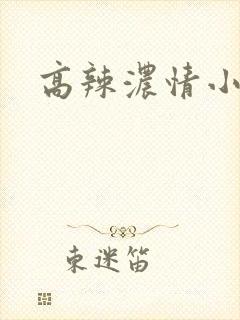高辣浓情小说