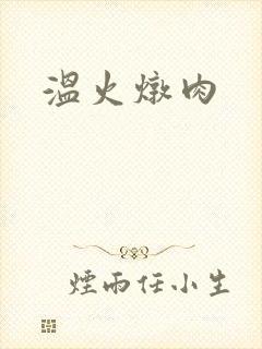 温火炖肉