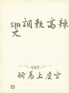 sm调教高辣h文