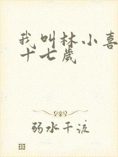我叫林小喜今年十七岁