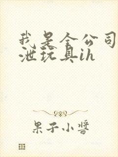 我是全公司的发泄玩具ih