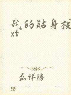 我的贴身校花txt