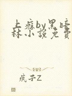 上瘾by黑暗森林小说免费