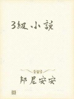 3级小说