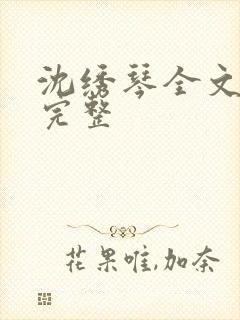 沈绣琴全文阅读完整