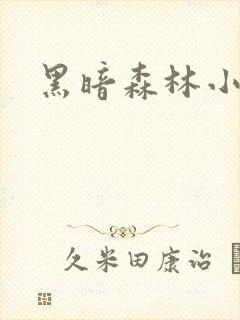 黑暗森林小说