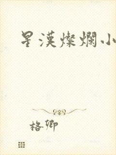 星汉灿烂小说
