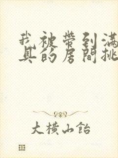 我被带到满是玩具的房间挑调作文