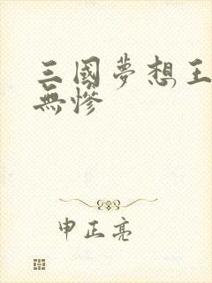 三国梦想王元姬无惨