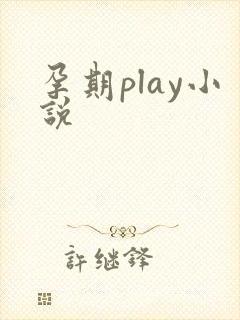 孕期play小说
