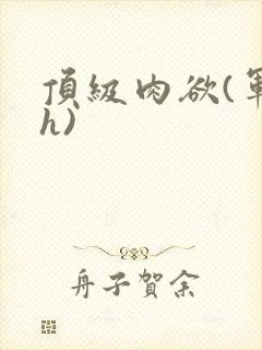 顶级肉欲(军高h)