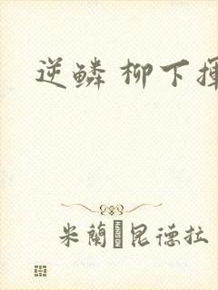 逆鳞 柳下挥