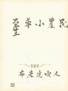 至尊小农民王木生