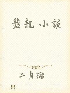 盘龙 小说