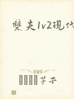 双夫1v2现代