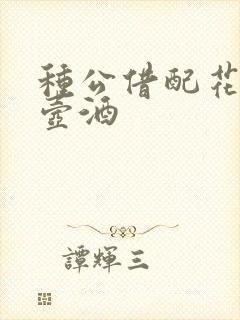 种公借配花间一壶酒