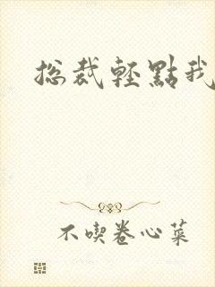 总裁轻点我怕疼