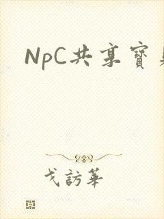 NpC共享宝贝