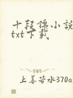十段锦小说全本txt下载