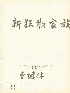 新狂欢家族小说