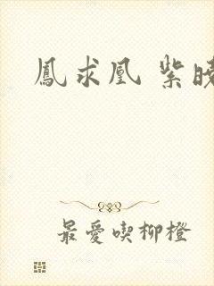 凤求凰 紫晓封面