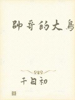 帅哥的大鸟