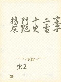 杨门十二寡妇肉床艳史电子书