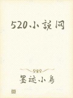 520小说网