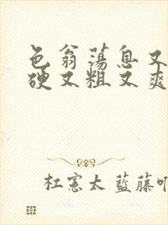 色翁荡息又大又硬又粗又爽电影