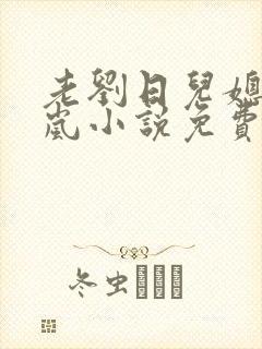 老刘日儿媳妇张岚小说免费阅读
