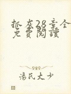 抓灰28章全部免费阅读