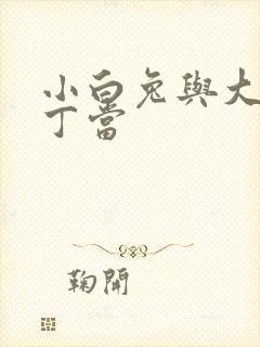 小白兔与大灰狼丁当