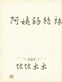 阿姨的丝袜小说