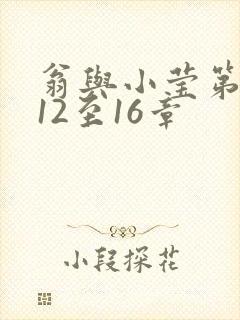 翁与小莹第十部12至16章