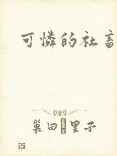 可怜的社畜分手