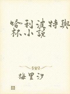 哈利波特与火焰杯小说