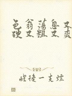 色翁荡息又大又硬又粗又爽