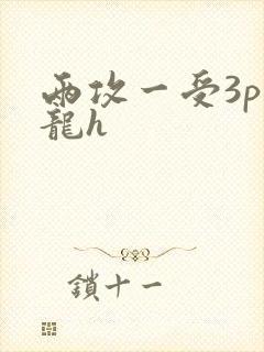 两攻一受3p双龙h