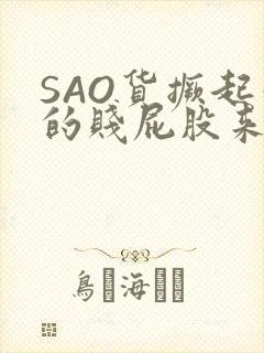 SAO货撅起你的贱屁股来