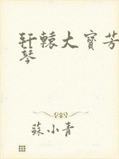 轩辕大宝芳菲雅琴