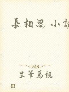 长相思 小说