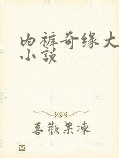 内裤奇缘大团结小说